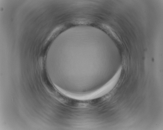 X0000078300167200611251517