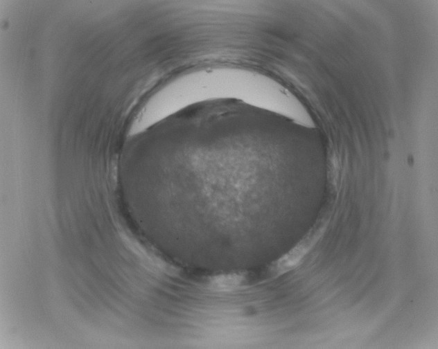 X0000078300168200611251517