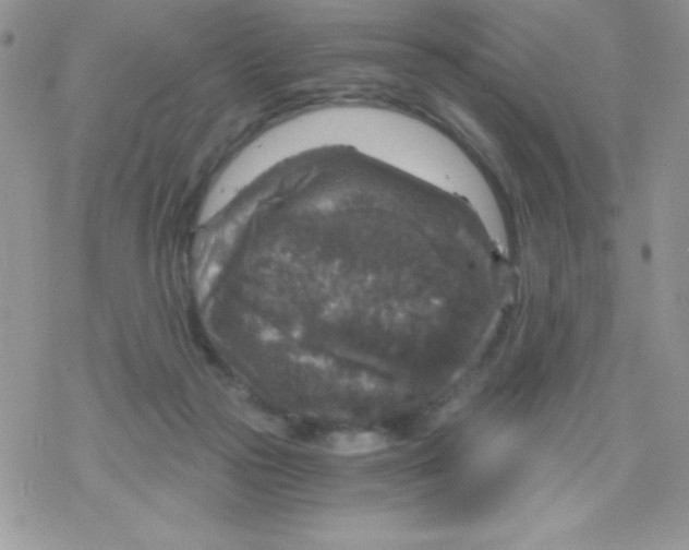 X0000078300169200611251517