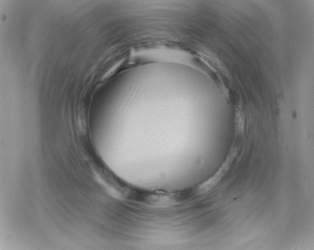 X0000078300170200611251517