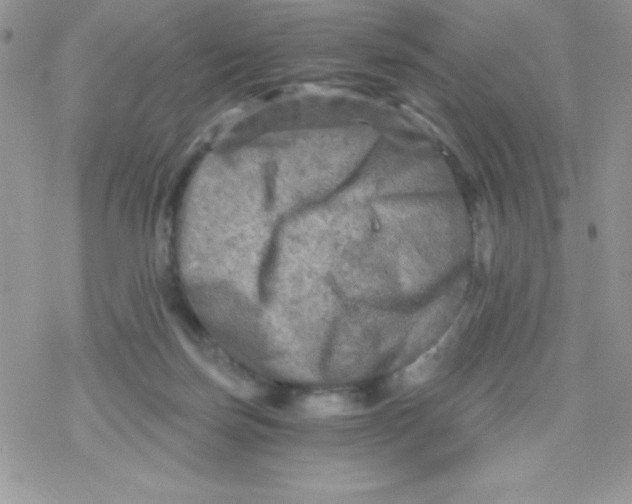 X0000078300171200611251517