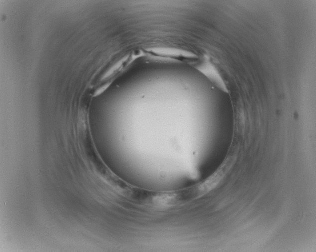 X0000078300172200611251517