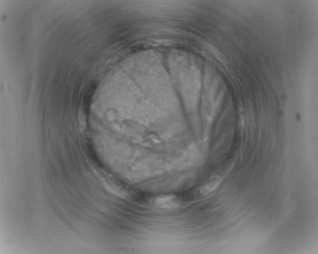 X0000078300173200611251517