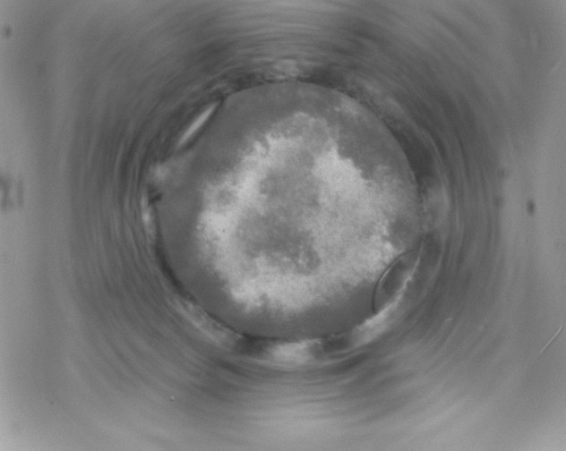 X0000078300178200611251517