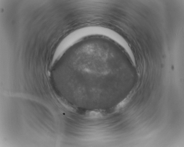 X0000078300180200611251517