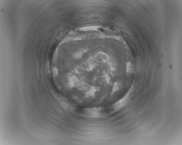 X0000078300182200611251517