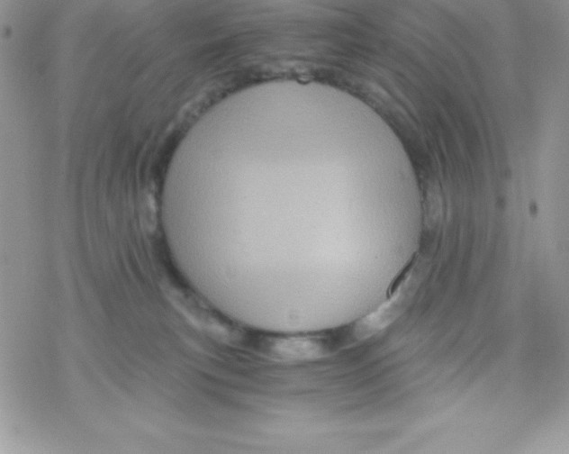 X0000078300183200611251517