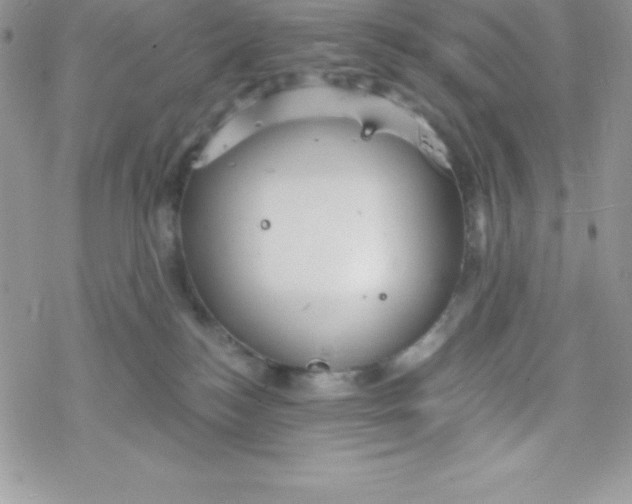 X0000078300184200611251518