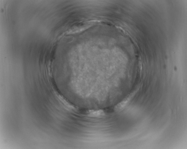 X0000078300185200611251518