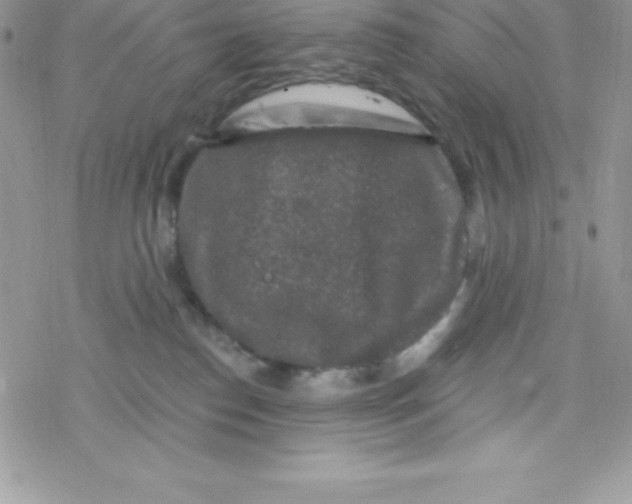 X0000078300186200611251518