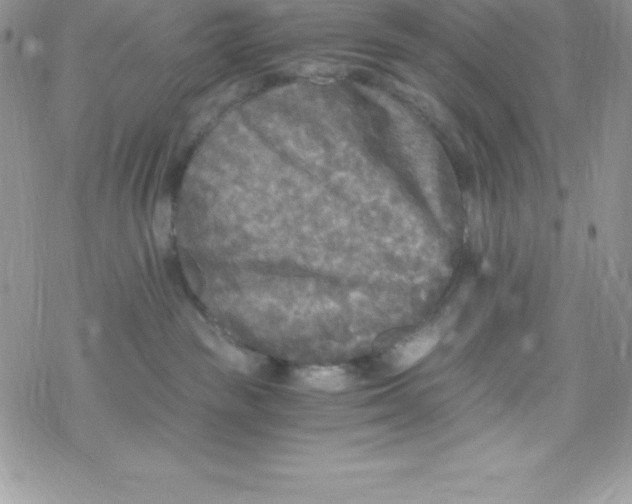 X0000078300189200611251518