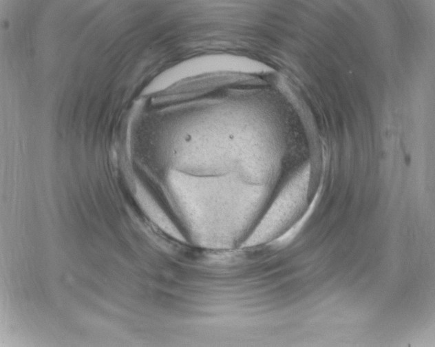 X0000078300190200611251518