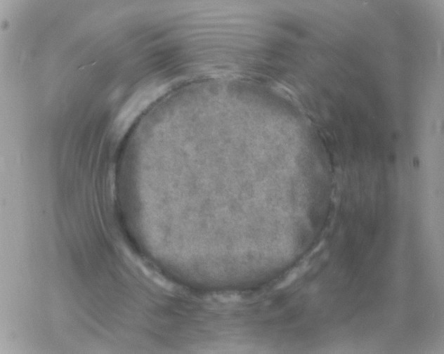 X0000078300194200611251517