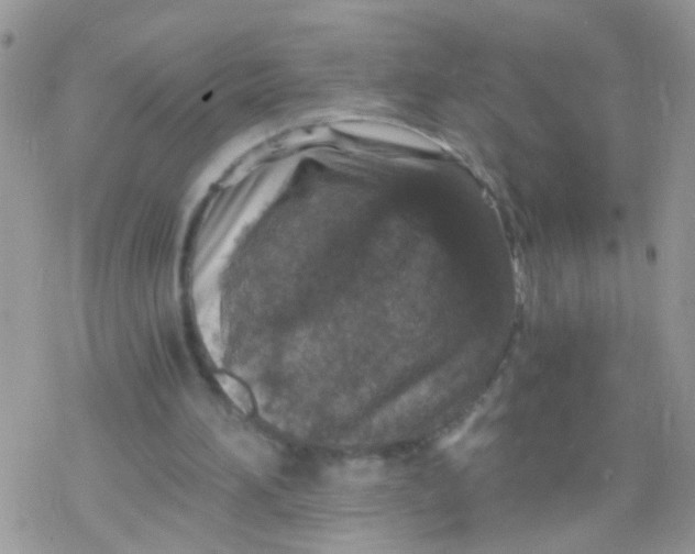 X0000078300196200611251517