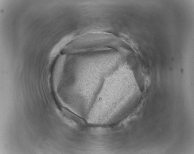 X0000078300197200611251517