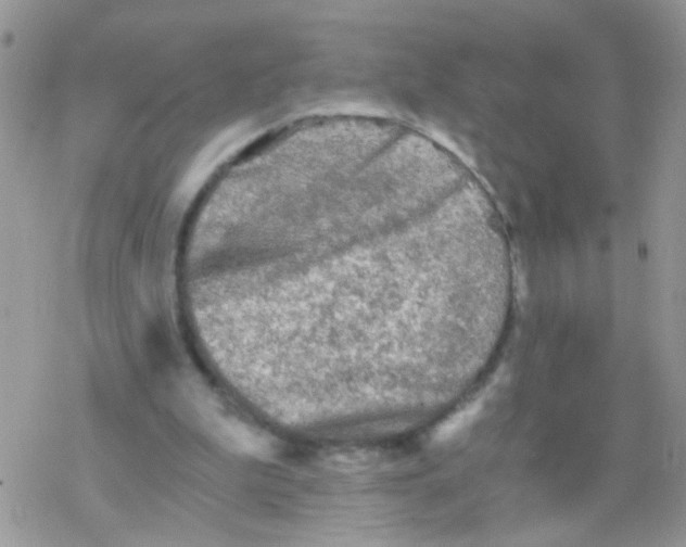 X0000078300199200611251517