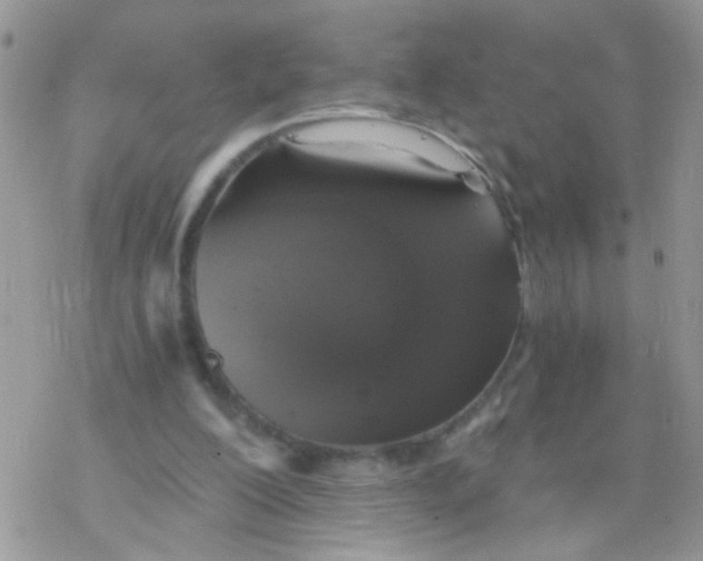 X0000078300200200611251517