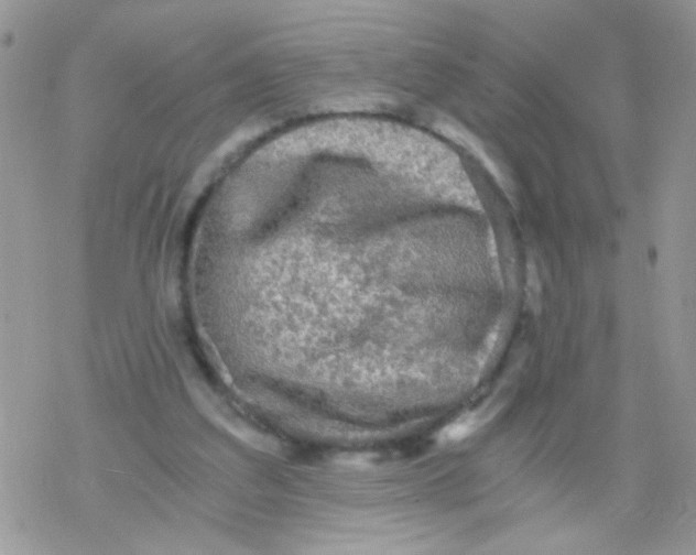 X0000078300203200611251517