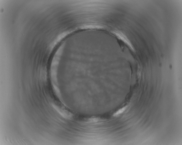 X0000078300204200611251517