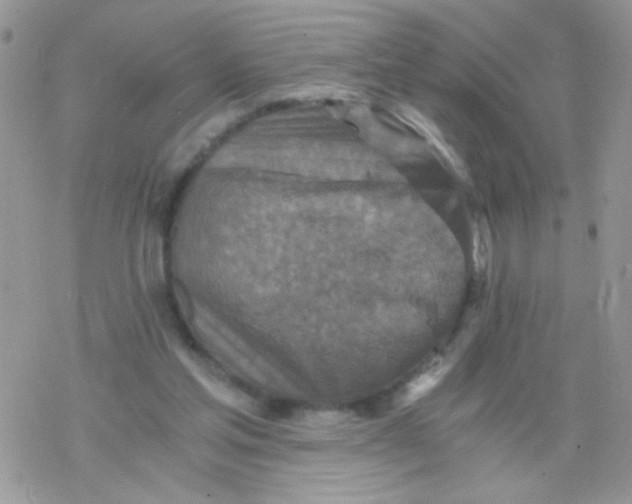 X0000078300205200611251517