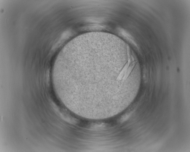 X0000078300206200611251517