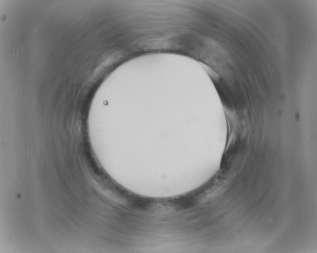 X0000078300207200611251517