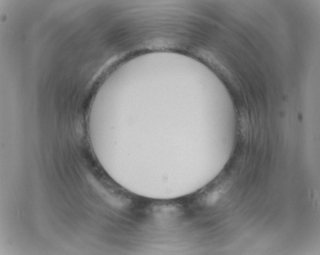 X0000078300208200611251517