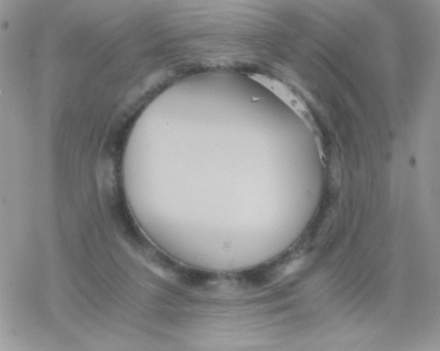 X0000078300211200611251517