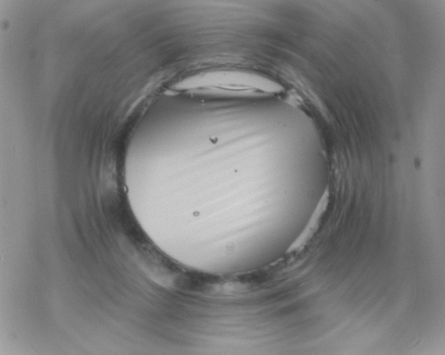 X0000078300212200611251517