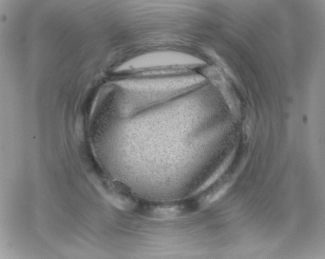 X0000078300213200611251517