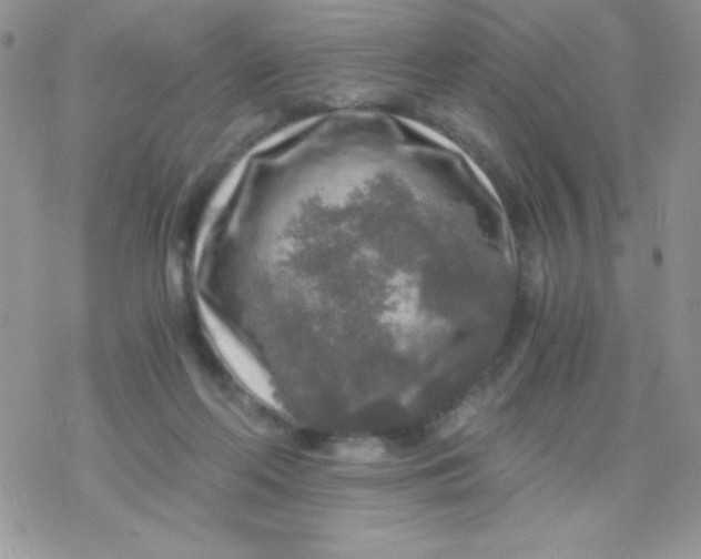 X0000078300214200611251517