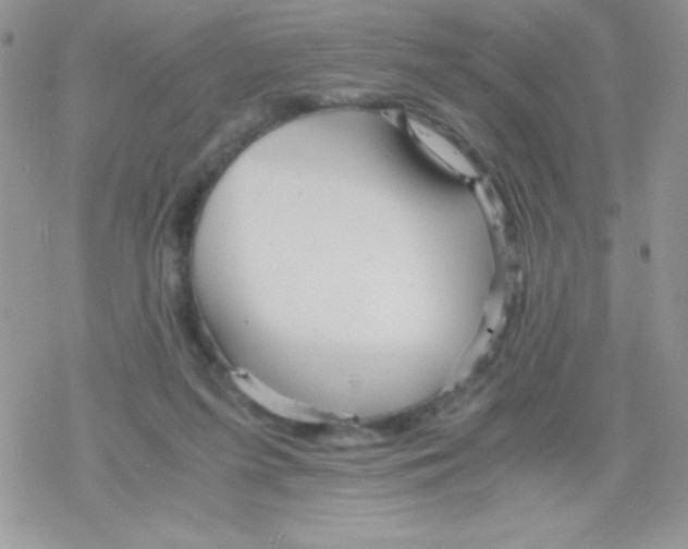 X0000078300215200611251517