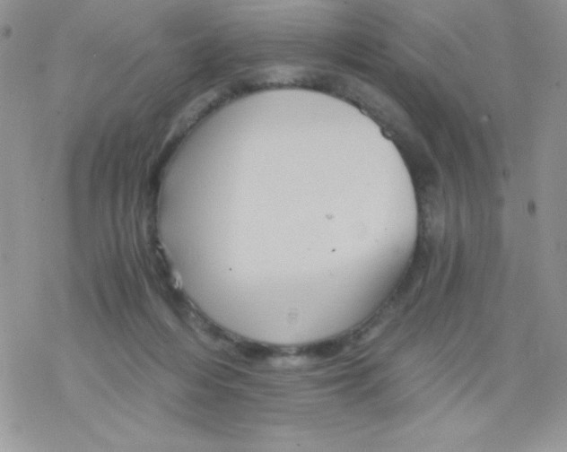 X0000078300216200611251516