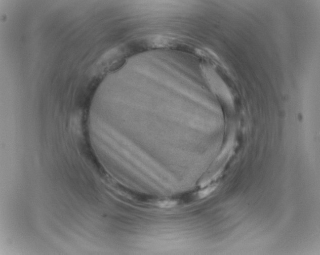 X0000078300217200611251516