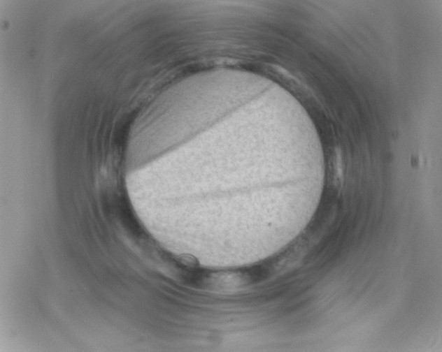 X0000078300218200611251516