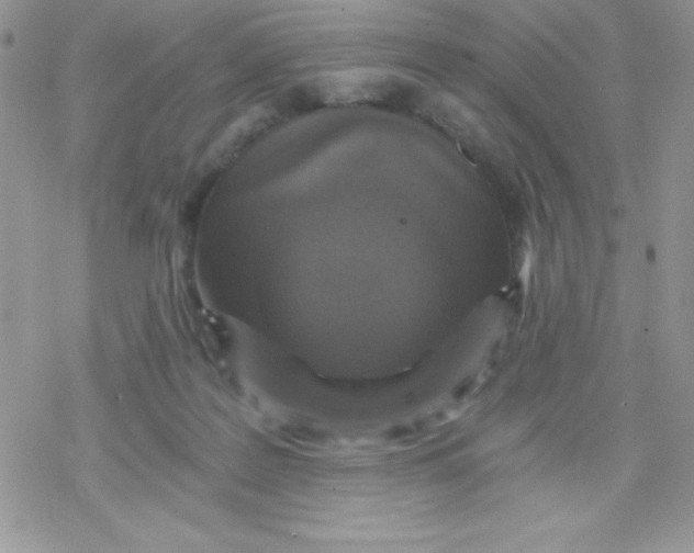 X0000078300219200611251516