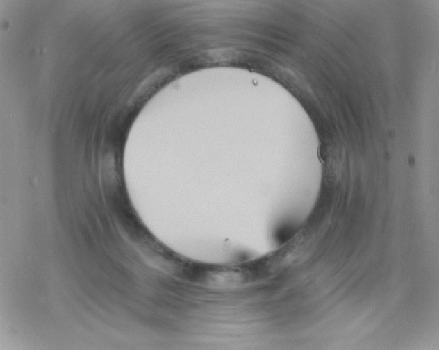 X0000078300220200611251516