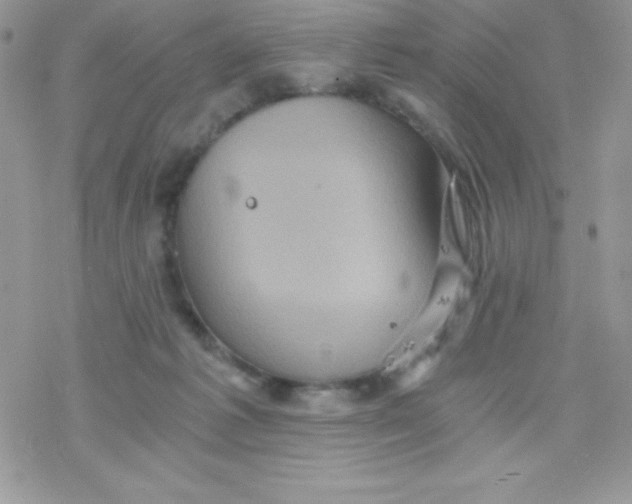 X0000078300221200611251516