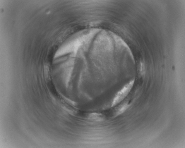 X0000078300222200611251516