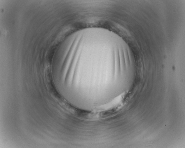 X0000078300225200611251516