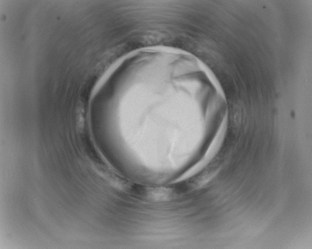 X0000078300226200611251516