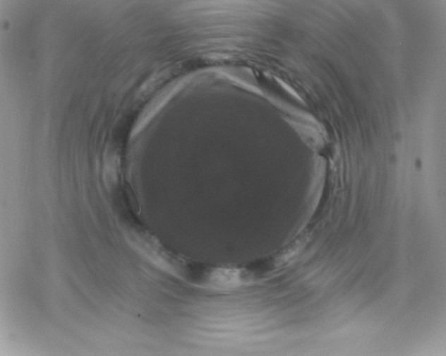 X0000078300227200611251516