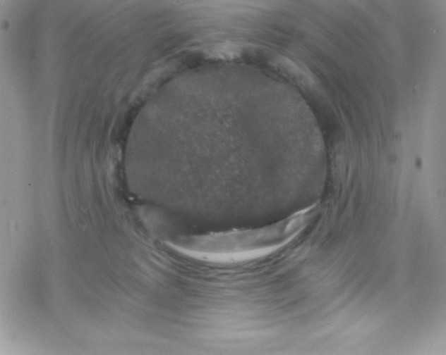 X0000078300229200611251516