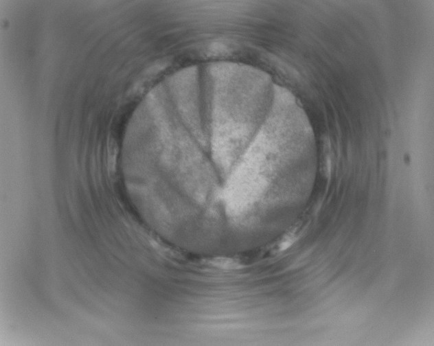 X0000078300230200611251516