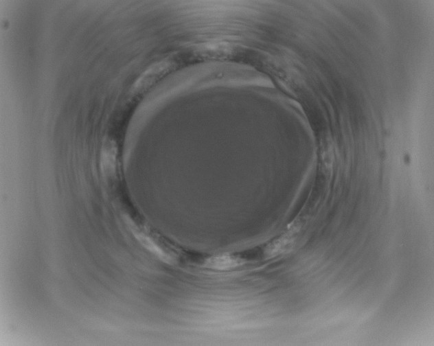 X0000078300231200611251516