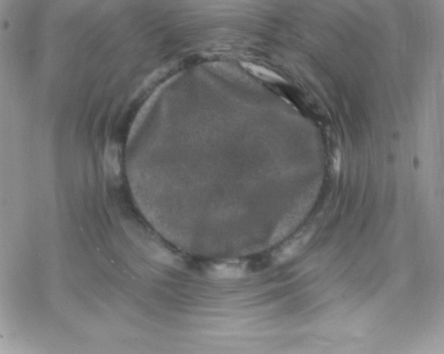 X0000078300232200611251516