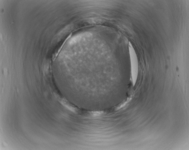 X0000078300233200611251516