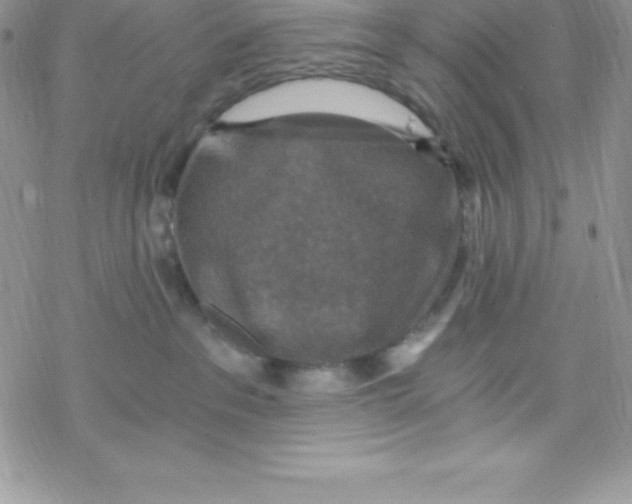 X0000078300237200611251516