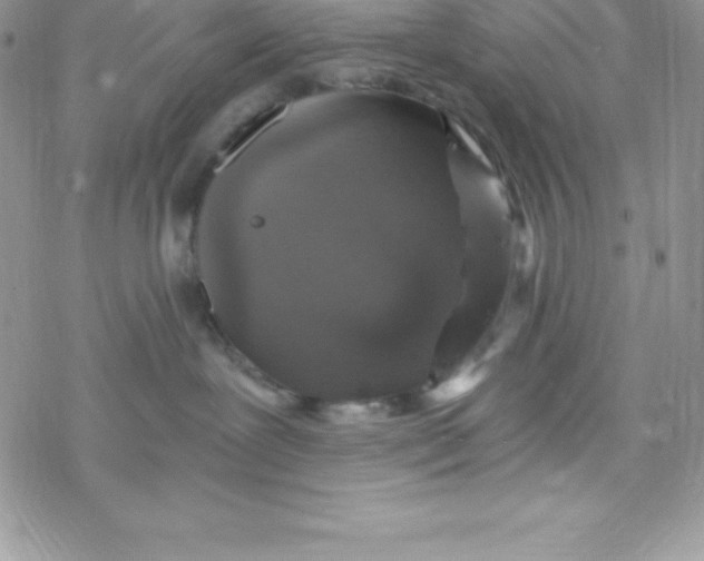 X0000078300239200611251516