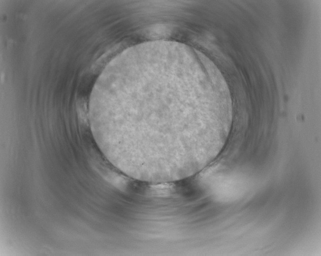 X0000078300240200611251516